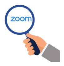 How Does Zoom Work