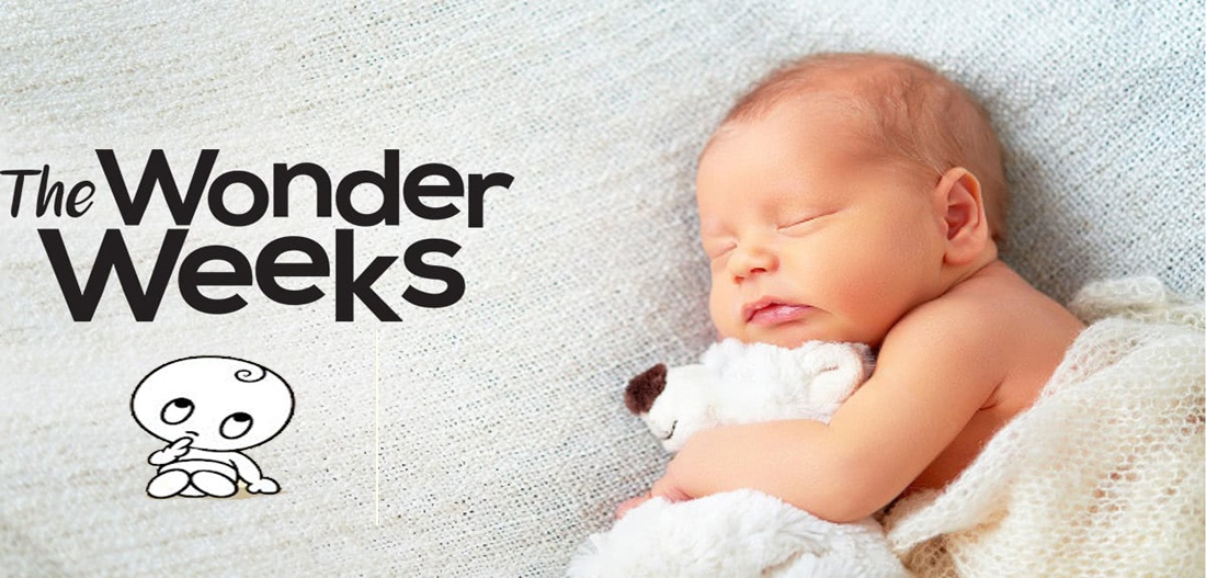 The Wonder Weeks: The Perfect App for New Parents
