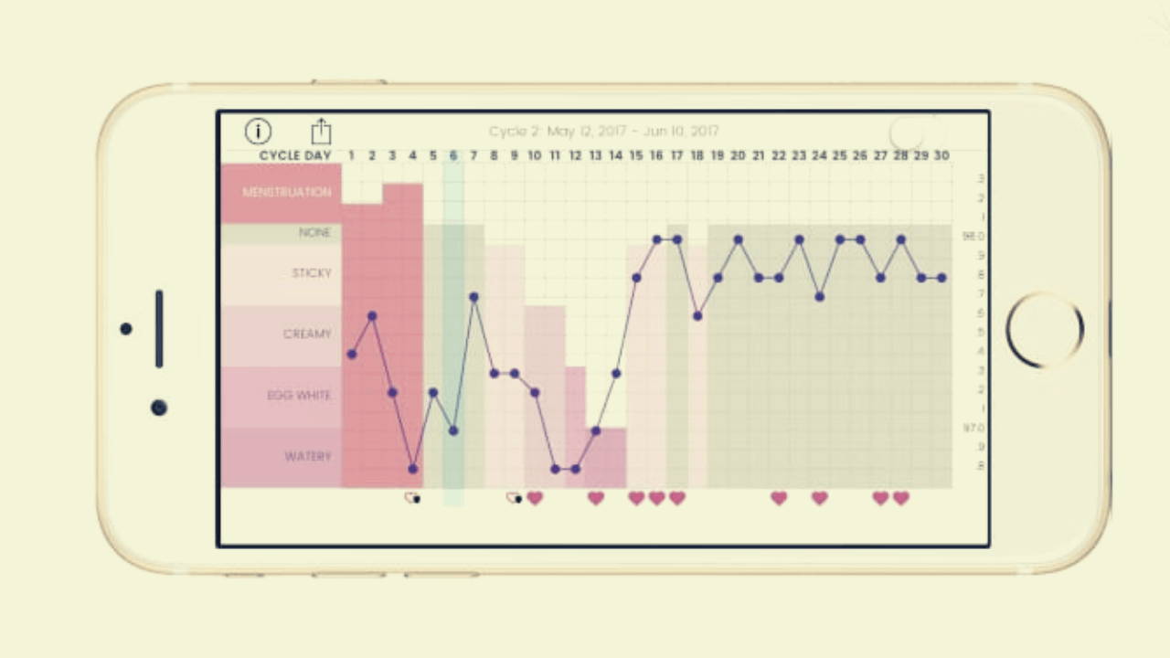 Kindara App: How to Calculate the Ovulation Period